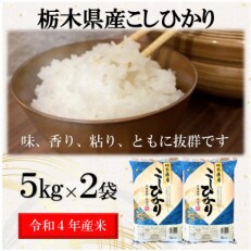 【令和4年産】栃木県産こしひかり(精米・5kg×2袋)