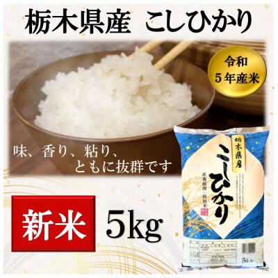 令和元年産 栃木県産コシヒカリ玄米(30キロ) - 米/穀物
