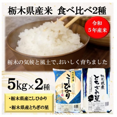 精米 栃木県産 とちぎの星 5kg 令和6年産: 全国おいしいお米発見