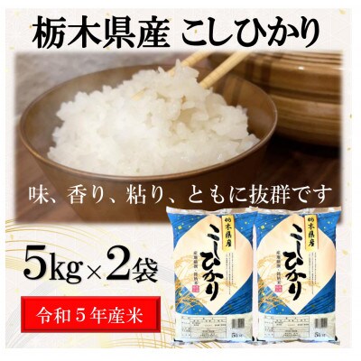 【令和5年産】栃木県産こしひかり(精米)　　10kg (5kg×2袋)　