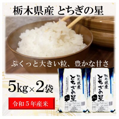 【令和5年産】栃木県産とちぎの星(精米)　　10kg (5kg×2袋)　