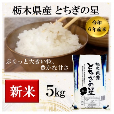 【令和6年産】栃木県産とちぎの星(精米)5kg×1袋　