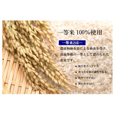 【令和6年産】栃木県産とちぎの星(精米)5kg×1袋　