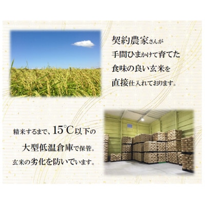 【令和6年産】栃木県産とちぎの星(精米)5kg×1袋　