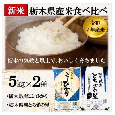 新米【令和7年産】精米「栃木県産こしひかり・とちぎの星」食べ比べセット10kg【5kg×1袋ずつ】