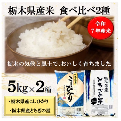 【令和7年産】精米「栃木県産こしひかり・とちぎの星」食べ比べセット10kg【5kg×1袋ずつ】