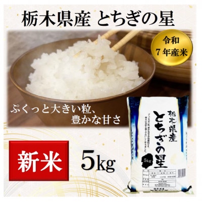 新米【令和7年産】栃木県産とちぎの星(精米) 5kg×1袋