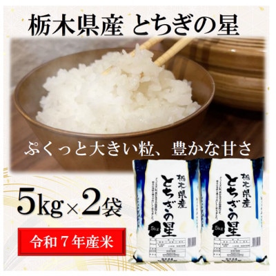 �V�āy�ߘa7�N�Y�z�Ȗ،��Y�Ƃ����̐�(����)10kg�y5kg×2�܁z