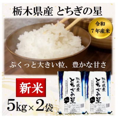新米【令和7年産】栃木県産とちぎの星(精米)10kg【5kg×2袋】