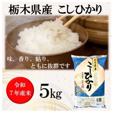 �V�āy�ߘa7�N�Y�z�Ȗ،��Y�����Ђ���(����) 5kg×1��