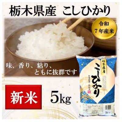 新米【令和7年産】栃木県産こしひかり(精米) 5kg×1袋