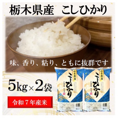 新米【令和7年産】栃木県産こしひかり(精米)10kg【5kg×2袋】