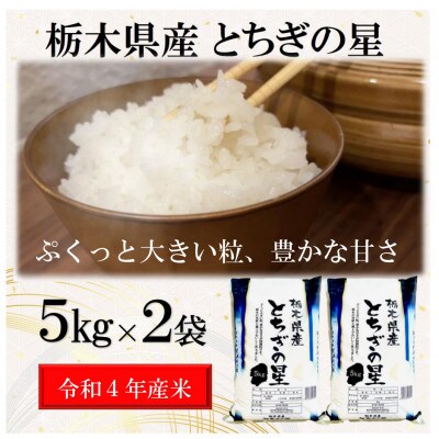 【2023年3月上旬発送】【令和4年産】栃木県産とちぎの星(精米)5kg×2袋