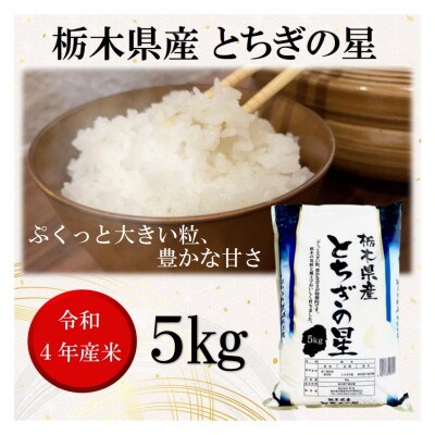 【2023年3月下旬発送】【令和4年産】栃木県産とちぎの星(精米)5kg×1袋