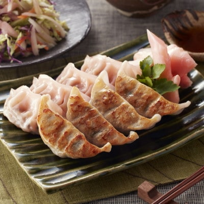 宇都宮餃子とんきっき　20個入り肉・野菜・生姜餃子　各1箱