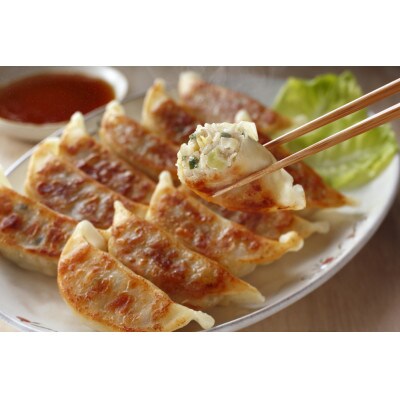 宇都宮餃子とんきっき　肉・野菜・チーズ餃子各30個セット