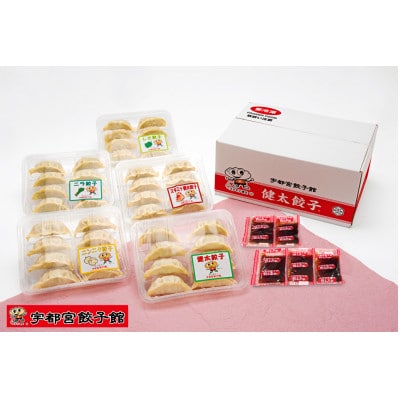 「宇都宮餃子館」味わい5色セット(各8個入り)