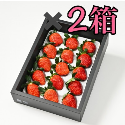 化粧箱入り【安定の味と品質】大粒とちおとめ2箱(30粒)　濃厚な味わいをお届け♪【贈答用にも】
