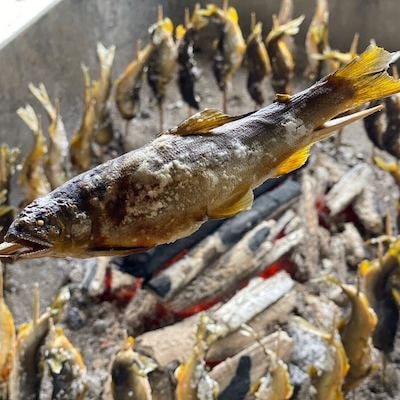 栃木県宇都宮 鬼怒川の鮎 1kg(8～10尾)