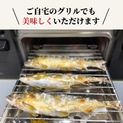 栃木県宇都宮 鬼怒川の鮎 1kg(8～10尾)