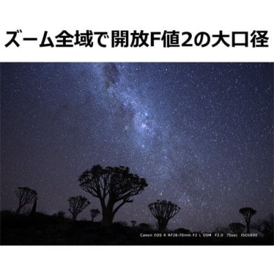 キヤノン Canon 大口径ズームレンズ RF28-70mm F2 L USM | お礼品詳細 