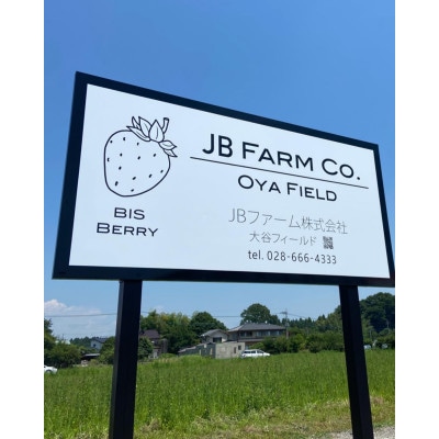 【産地直送】JBファームのなつおとめ(約600g)※2024年7月頃より順次発送