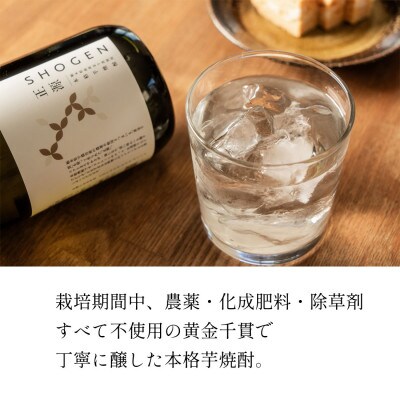 本格芋焼酎　正源　白1本箱入り
