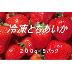 冷凍いちご とちあいか 200g&times;5パック