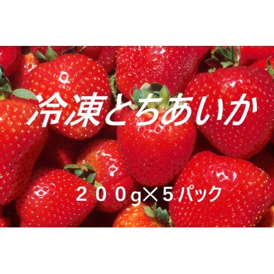 冷凍いちご　とちあいか　200g×5パック