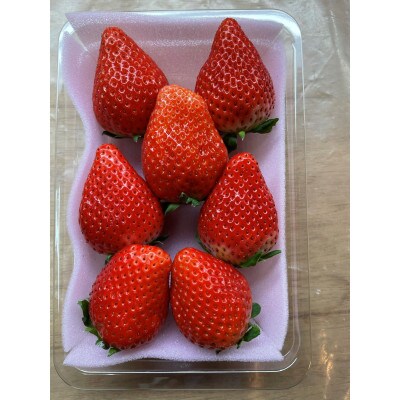 高級いちご　完熟スカイベリー300g×2パック