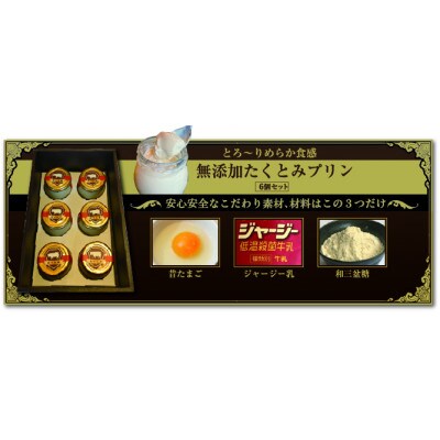 無添加たくとみプリン6個セット【冷蔵】