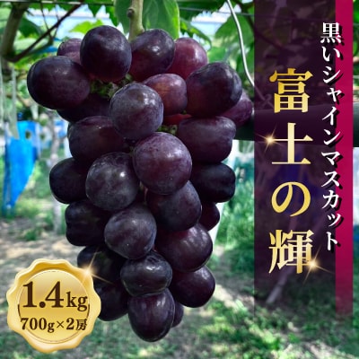 黒いシャインマスカット　富士の輝　1.4kg