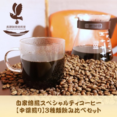 自家焙煎スペシャルティコーヒー(豆)【中深煎り】3種飲み比べセット　100g×3袋