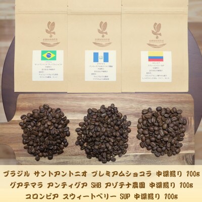 自家焙煎スペシャルティコーヒー(豆)【中深煎り】3種飲み比べセット　100g×3袋
