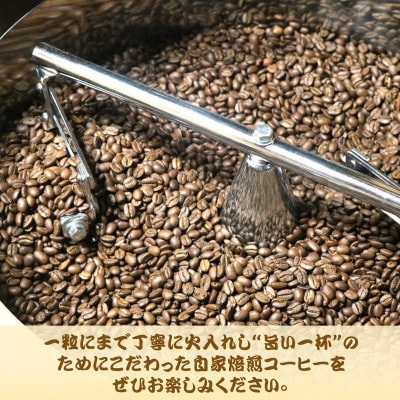 自家焙煎スペシャルティコーヒー(豆)【中深煎り】3種飲み比べセット　100g×3袋