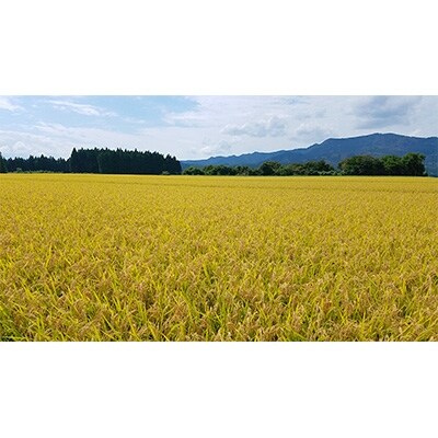 【秋田市雄和産】あきたこまち清流米(無洗米) 20kg