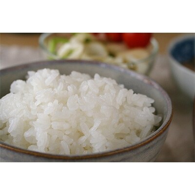 【秋田市雄和産】あきたこまち清流米(無洗米) 20kg