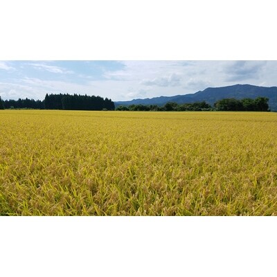 2021年4月発送開始『定期便』秋田市産ひとめぼれ 精米3kg 全12回