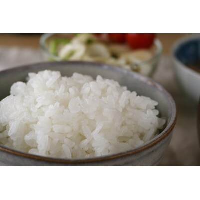 2021年4月発送開始『定期便』秋田市産ひとめぼれ 精米3kg 全12回