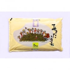お米マイスターの太鼓判!秋田県産あきたこまち　5kg | ふるさと納税のお礼品