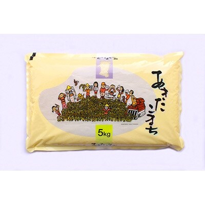 お米マイスターの太鼓判!秋田県産あきたこまち 20kg(5kg×4袋)