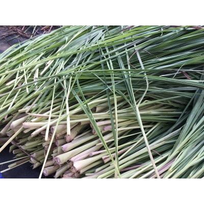 オーガニック五島レモングラスリーフ計30g