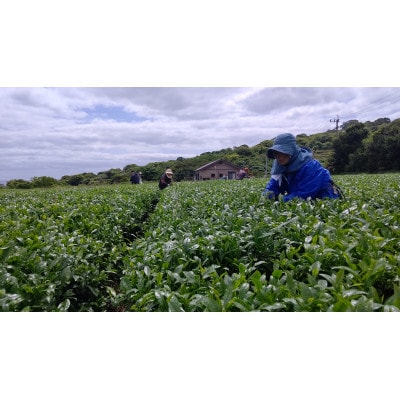 オーガニック五島レモングラスティー緑茶ブレンド計30g