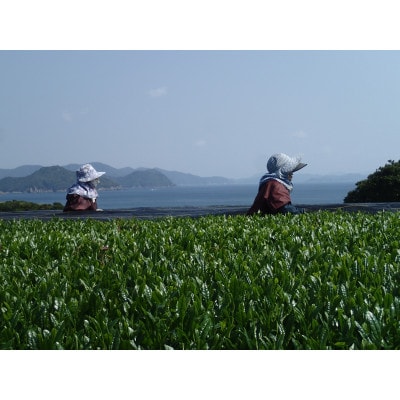 オーガニック五島レモングラスティー紅茶ブレンド計30g