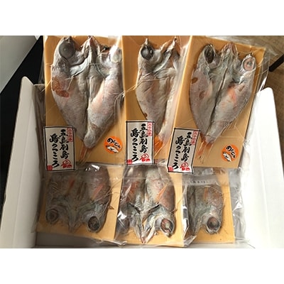 のどぐろ三昧　極上一夜干し詰合せ
