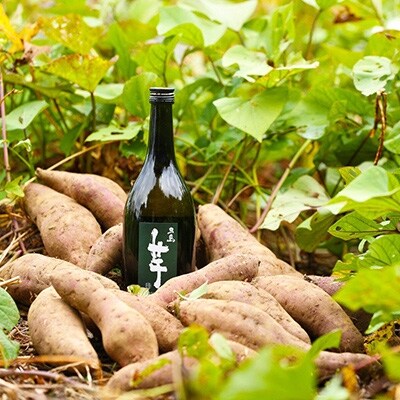 長崎県五島市 五島列島酒造 五島麦・五島芋セット 720ml×2本