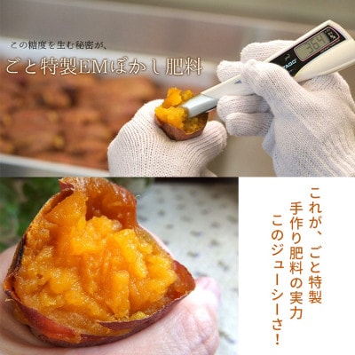 【長崎県優良特産品】ごと焼き ごと芋6袋セット(計1.8kg)