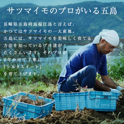【有機JAS栽培】長崎県五島列島産シルクスイート『冷凍焼き芋・ごとふわり』6袋セット(計1.8kg)