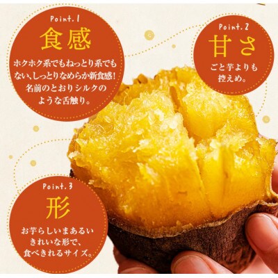 【毎月定期便】ごとふわり(冷凍焼き芋/シルクスイート)6袋セット(計1.8kg)全6回