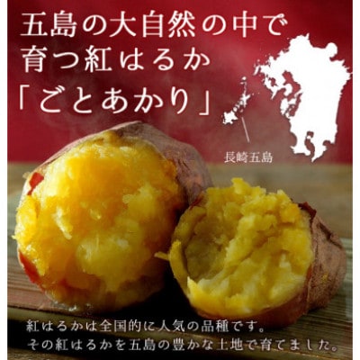 【毎月定期便】ごとあかり(冷凍焼き芋/紅はるか)6袋セット(計1.8kg)全3回